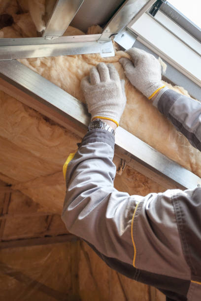 Best Insulation Materials and Products in Abram, TX