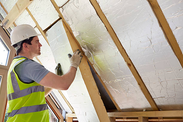 Best Insulation Maintenance and Repair in Abram, TX
